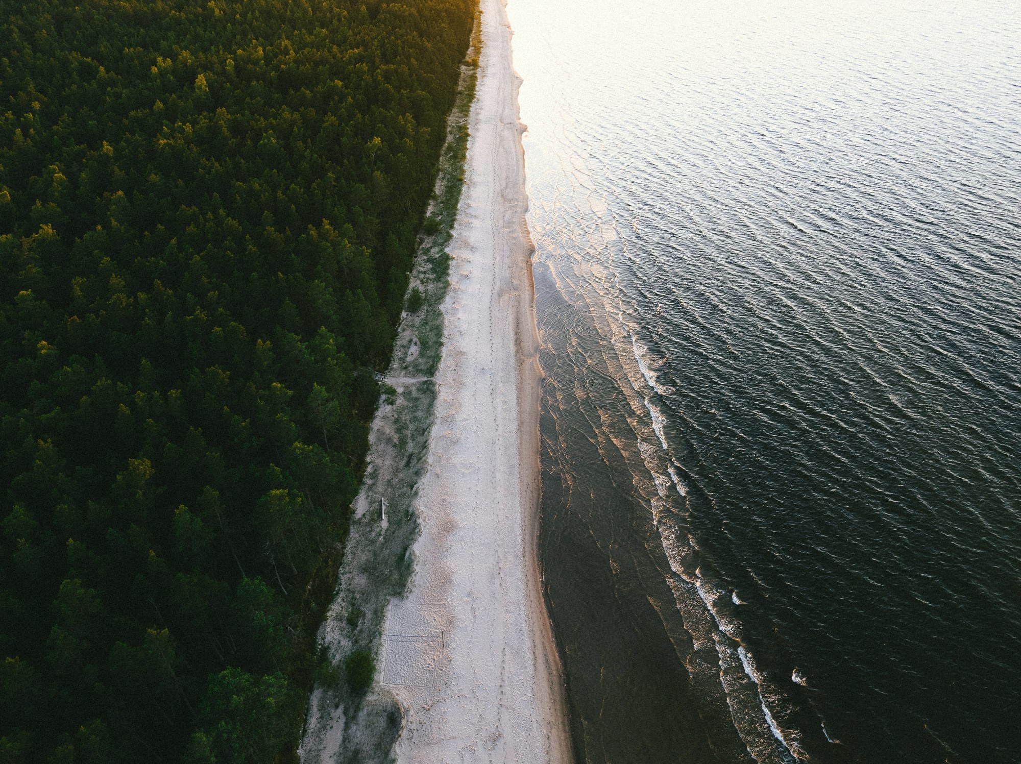 Pas bałtyckiego brzegu z lotu ptaka - las, plaża i morze